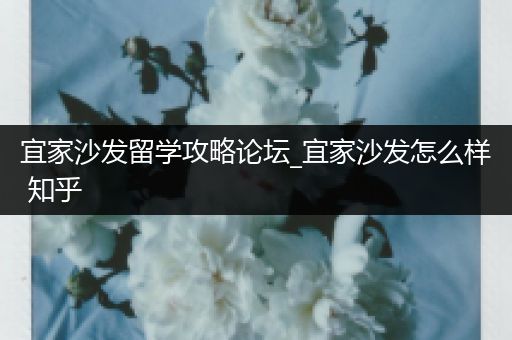 宜家沙发留学攻略论坛_宜家沙发怎么样 知乎