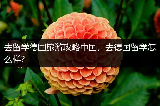 去留学德国旅游攻略中国，去德国留学怎么样?