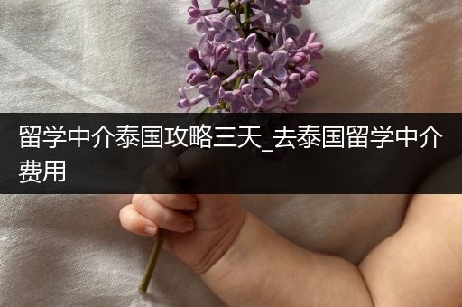 留学中介泰国攻略三天_去泰国留学中介费用