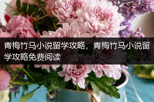 青梅竹马小说留学攻略，青梅竹马小说留学攻略免费阅读
