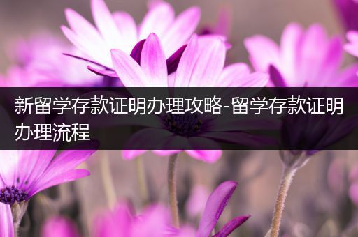 新留学存款证明办理攻略-留学存款证明办理流程