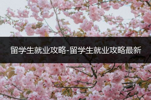 留学生就业攻略-留学生就业攻略最新