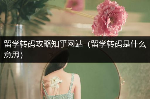 留学转码攻略知乎网站（留学转码是什么意思）