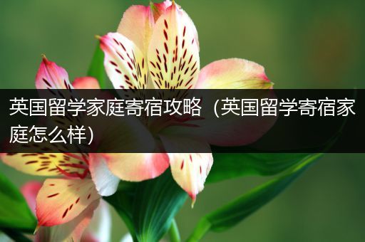 英国留学家庭寄宿攻略（英国留学寄宿家庭怎么样）