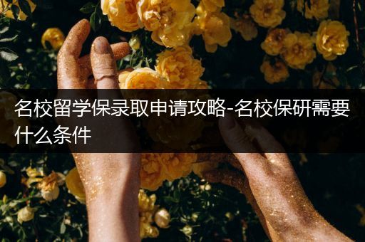 名校留学保录取申请攻略-名校保研需要什么条件