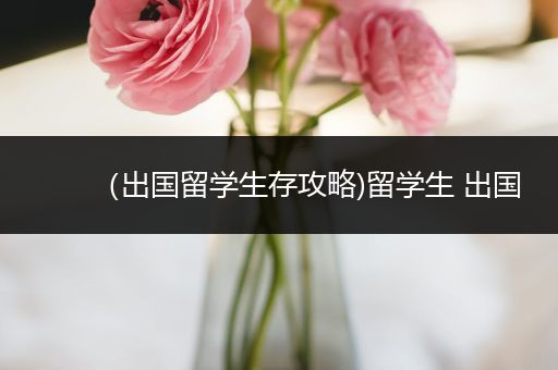 （出国留学生存攻略)留学生 出国