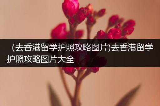 （去香港留学护照攻略图片)去香港留学护照攻略图片大全