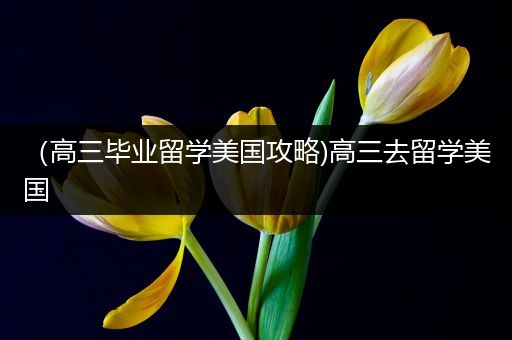 （高三毕业留学美国攻略)高三去留学美国