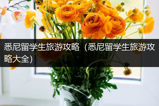 悉尼留学生旅游攻略（悉尼留学生旅游攻略大全）