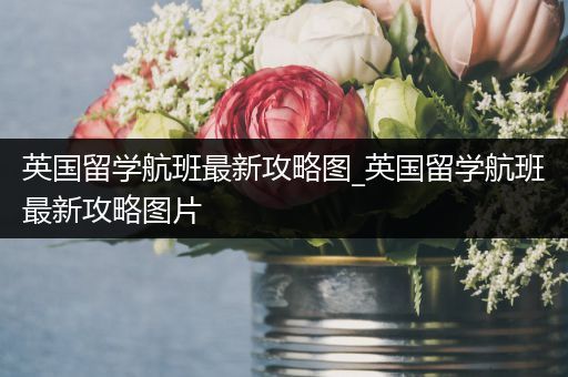 英国留学航班最新攻略图_英国留学航班最新攻略图片