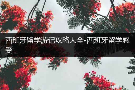 西班牙留学游记攻略大全-西班牙留学感受