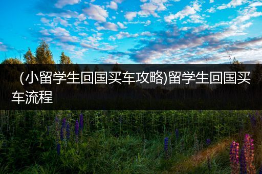 （小留学生回国买车攻略)留学生回国买车流程