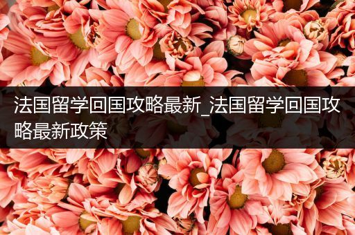 法国留学回国攻略最新_法国留学回国攻略最新政策