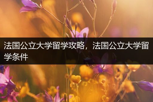 法国公立大学留学攻略，法国公立大学留学条件