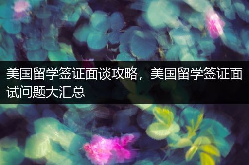美国留学签证面谈攻略，美国留学签证面试问题大汇总
