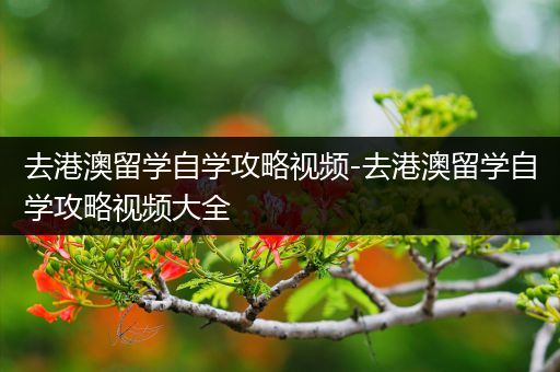 去港澳留学自学攻略视频-去港澳留学自学攻略视频大全