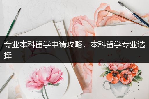 专业本科留学申请攻略，本科留学专业选择