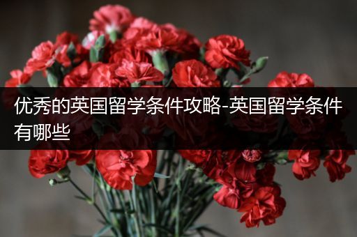 优秀的英国留学条件攻略-英国留学条件有哪些