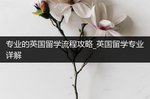 专业的英国留学流程攻略_英国留学专业详解