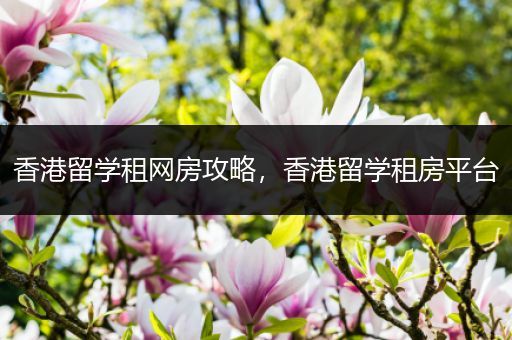 香港留学租网房攻略，香港留学租房平台