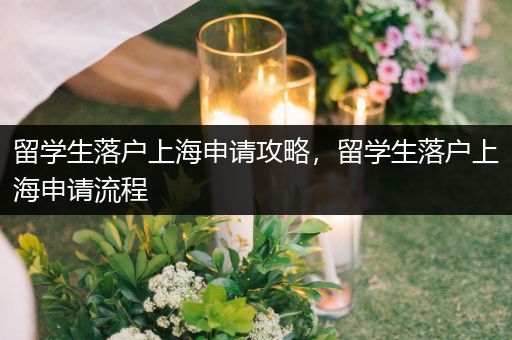 留学生落户上海申请攻略，留学生落户上海申请流程