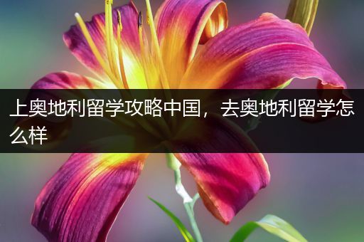 上奥地利留学攻略中国，去奥地利留学怎么样
