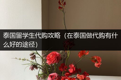 泰国留学生代购攻略（在泰国做代购有什么好的途径）