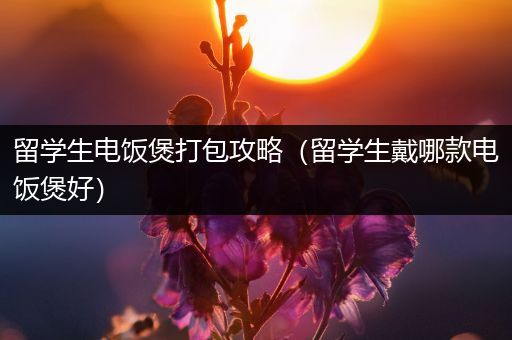 留学生电饭煲打包攻略（留学生戴哪款电饭煲好）