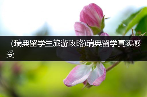 （瑞典留学生旅游攻略)瑞典留学真实感受