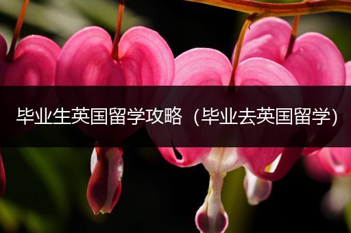 毕业生英国留学攻略（毕业去英国留学）