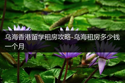 乌海香港留学租房攻略-乌海租房多少钱一个月