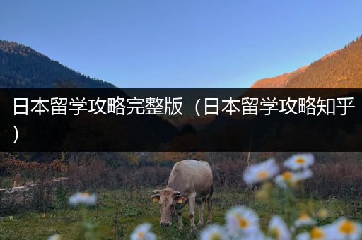 日本留学攻略完整版（日本留学攻略知乎）