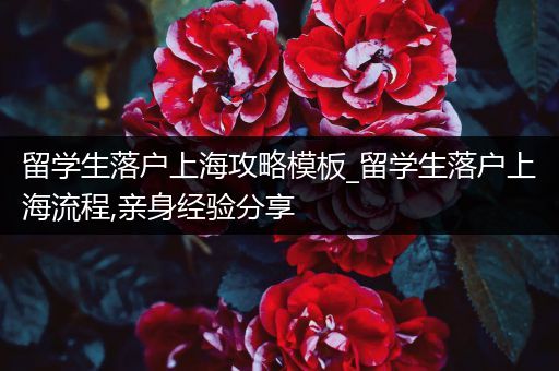 留学生落户上海攻略模板_留学生落户上海流程,亲身经验分享
