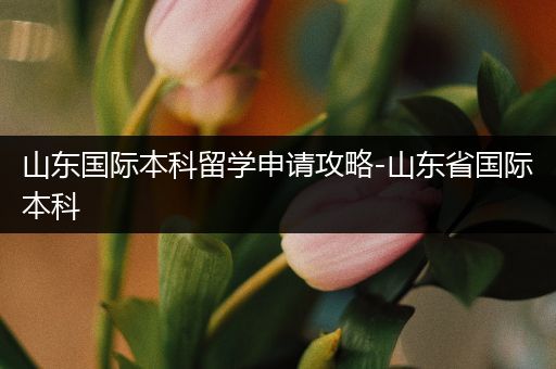 山东国际本科留学申请攻略-山东省国际本科