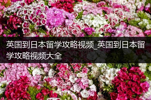 英国到日本留学攻略视频_英国到日本留学攻略视频大全