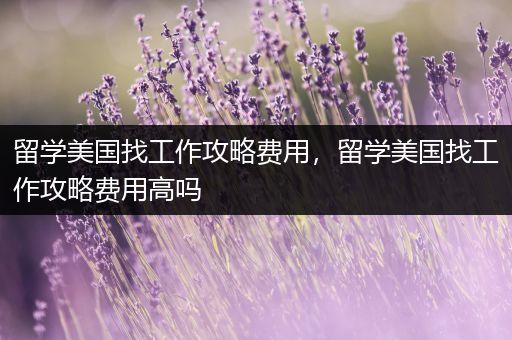 留学美国找工作攻略费用，留学美国找工作攻略费用高吗