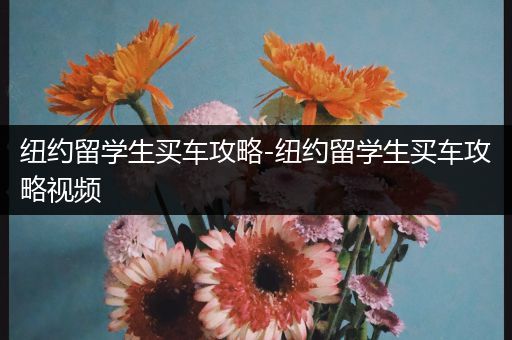 纽约留学生买车攻略-纽约留学生买车攻略视频