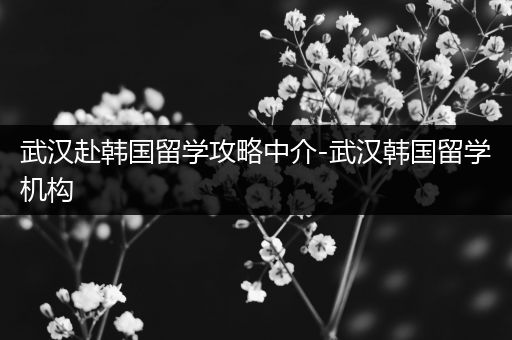 武汉赴韩国留学攻略中介-武汉韩国留学机构