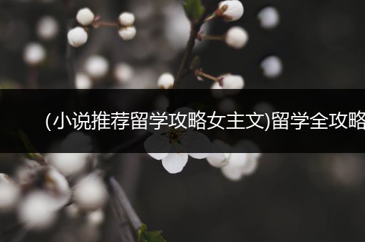 （小说推荐留学攻略女主文)留学全攻略
