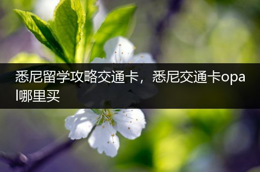 悉尼留学攻略交通卡，悉尼交通卡opal哪里买