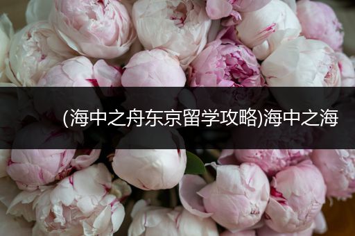 （海中之舟东京留学攻略)海中之海