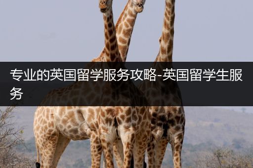 专业的英国留学服务攻略-英国留学生服务