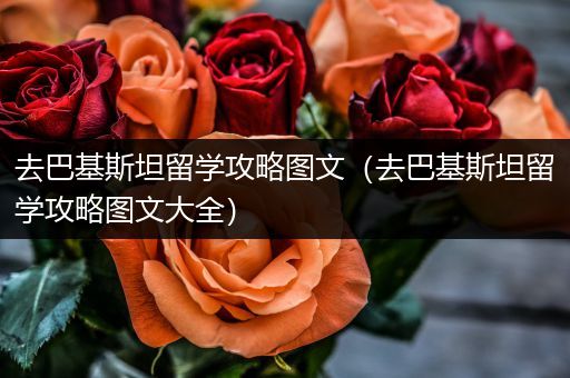去巴基斯坦留学攻略图文（去巴基斯坦留学攻略图文大全）