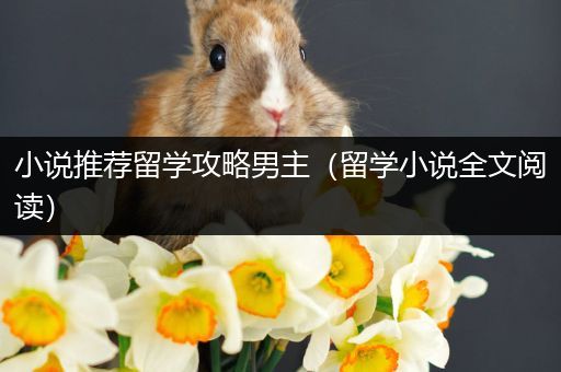 小说推荐留学攻略男主（留学小说全文阅读）
