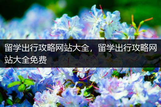 留学出行攻略网站大全，留学出行攻略网站大全免费