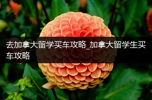 去加拿大留学买车攻略_加拿大留学生买车攻略