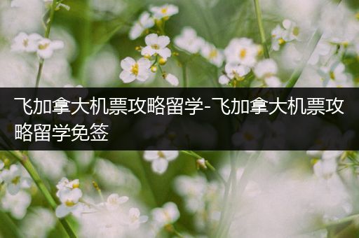 飞加拿大机票攻略留学-飞加拿大机票攻略留学免签