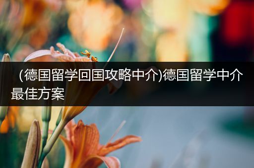 （德国留学回国攻略中介)德国留学中介最佳方案