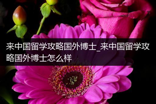 来中国留学攻略国外博士_来中国留学攻略国外博士怎么样