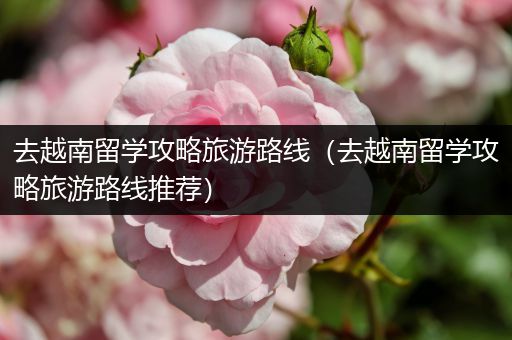 去越南留学攻略旅游路线（去越南留学攻略旅游路线推荐）